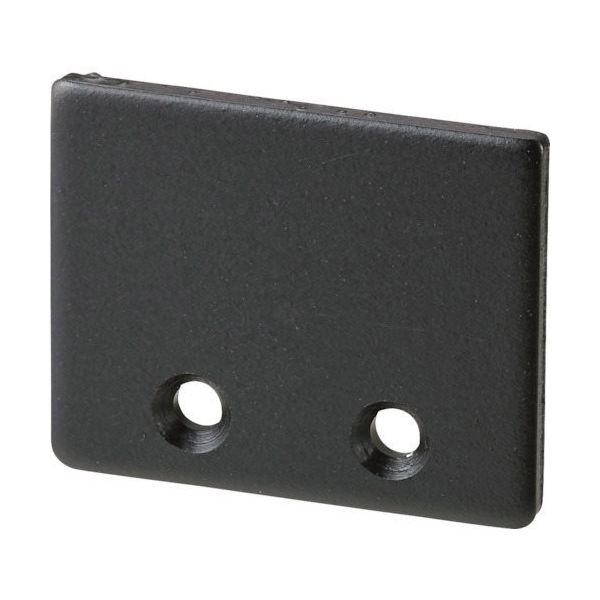 岡田装飾金物 岡田 カーテンレール D40キャッププレート ブラック 15T34BL 1個 269-8921（直送品）