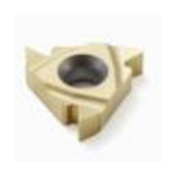 セコ・ツールズ・ジャパン セコ 旋削 ねじ切り用インサート CP200 16ERAG55 1セット(2個) 430-0199（直送品）