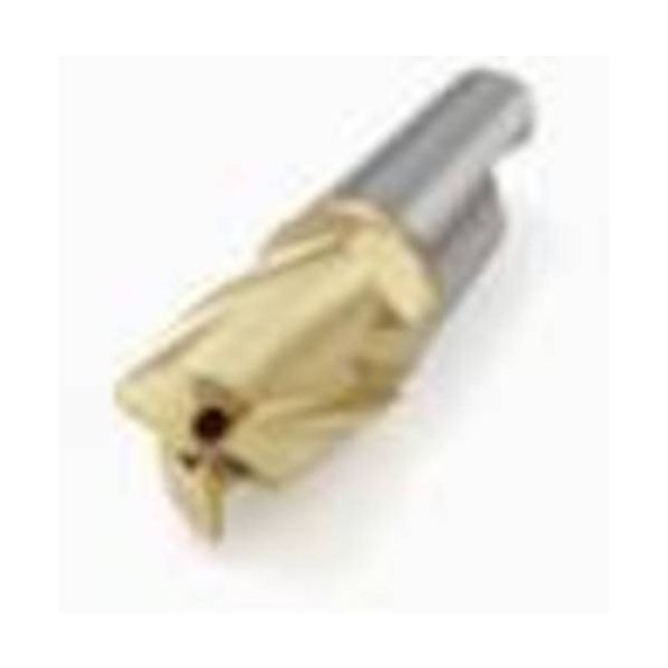 セコ フライス ミニマスターヘッド MM06 F30M MM06-06007-R10A30-D02 1セット(2個)（直送品）