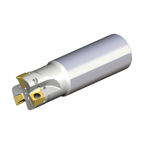 テグテック TEAGUTEC ミーリングカッター チェイス4ミル 4N TE90-225-W25-11 1本 439-8422（直送品）