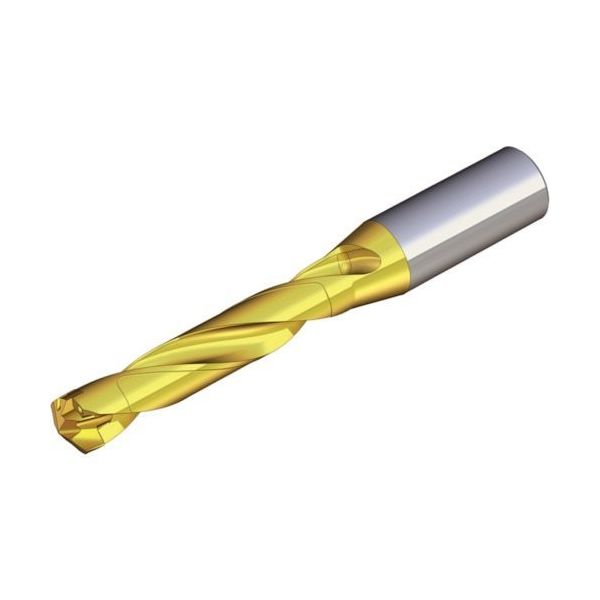 テグテック ドリルラッシュ:ホルダー TCD 180-189-25S0-5D 1本 440-6337（直送品）