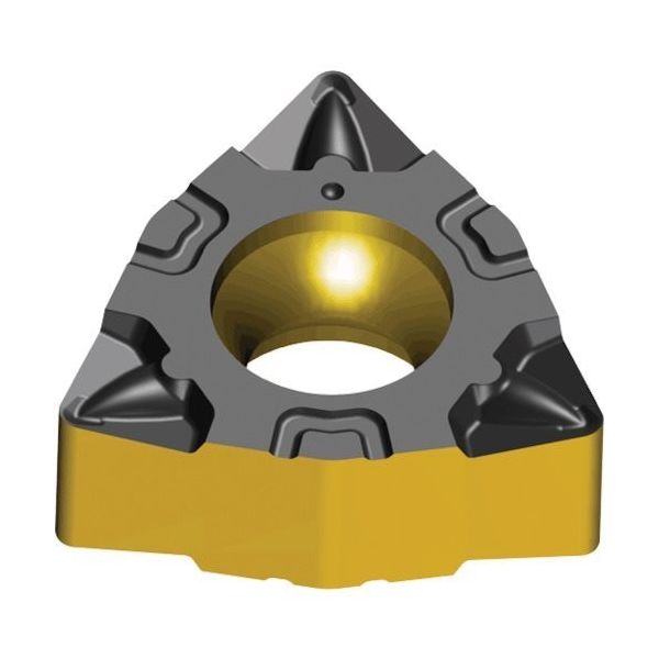 テグテック ライノMターン:チップ WNMX 040304 FGP TT5080 1セット(10個) 441-4160（直送品）