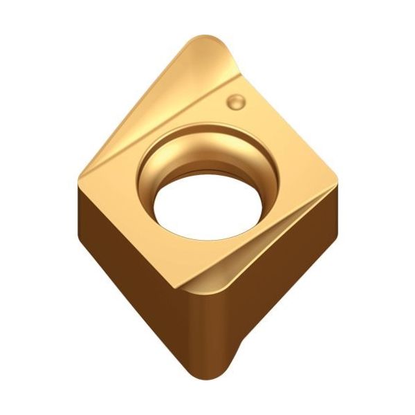 テグテック TEAGUTEC ミーリング加工用チップ チェイス4ミル 4NHT 060304R-ML TT6080 1セット(10個)（直送品）