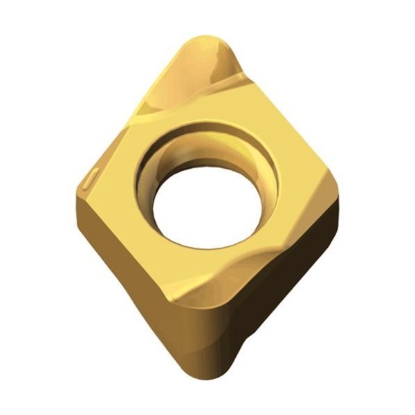 テグテック TEAGUTEC ミーリング加工用チップ チェイス4ミル 4NHT 060305R-F TT2510 1セット(10個)（直送品）