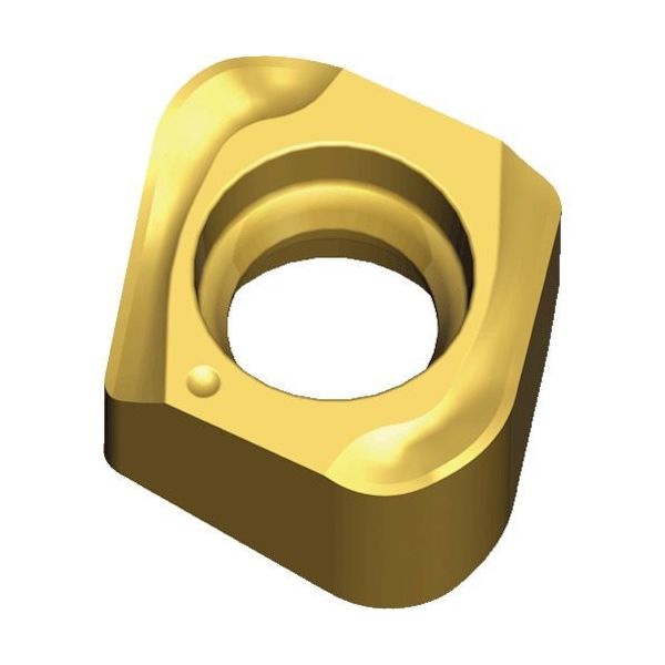 テグテック TEAGUTEC ミーリング加工用チップ チェイス4ミル 4NKT 060320R-HF TT8080 1セット(10個)（直送品）