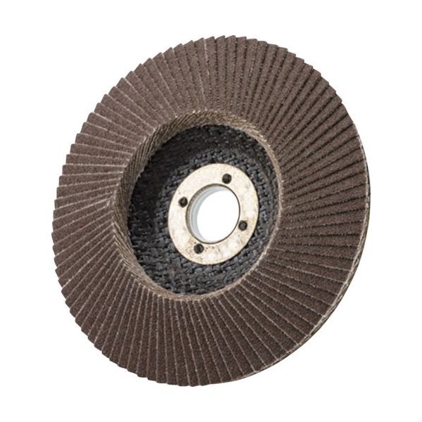 イチグチ AC テクノディスク・コニカルタイプA 180X22.2 #60 CON18022-A-60 1セット(5枚) 806-3321（直送品）