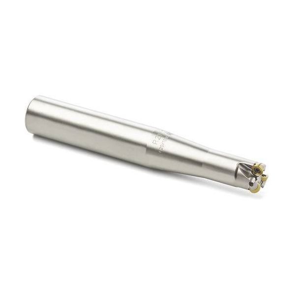 セコ・ツールズ・ジャパン セコ フライス 丸駒カッタ R217.29―03 R217.29-1620.0-03.4.100E 1個（直送品） 55,091円