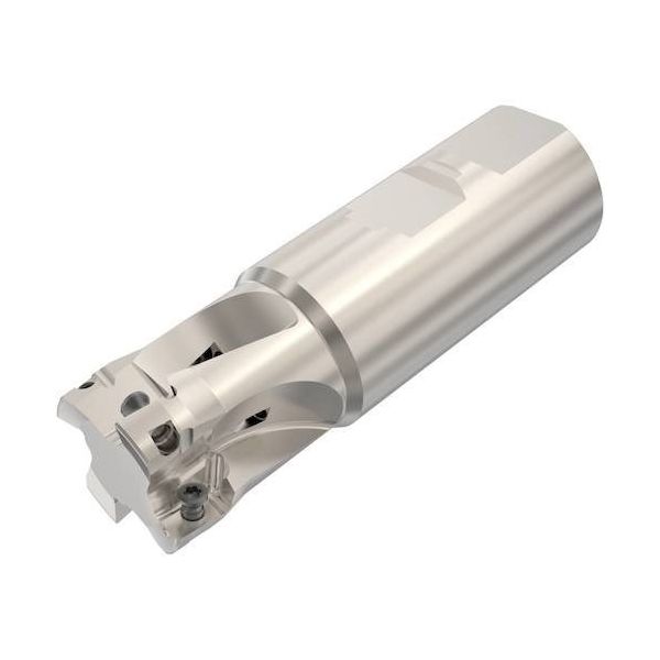 セコ・ツールズ・ジャパン セコ フライス ターボミル カッター R217.69-3232.3-12-4AN 1個 429-7624（直送品）