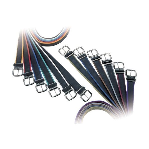 コヅチ カラーソフトベルトワンピン48グリーン PNB-048G 1本 128-3089（直送品）