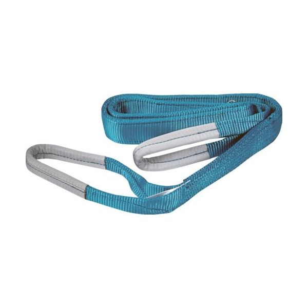 トラスコ中山 TRUSCO リサイクルポリエステルスリング JIS3等級 両端アイ形 50mmX2.5m TRPS50-2.5 1本（直送品）