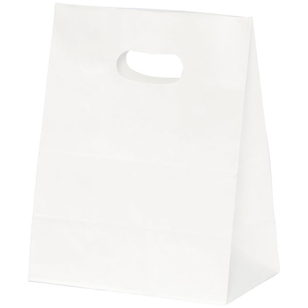 パックタケヤマ手提げ紙袋　イーグリップ　白無地　M　1セット（250枚：50枚入×5）