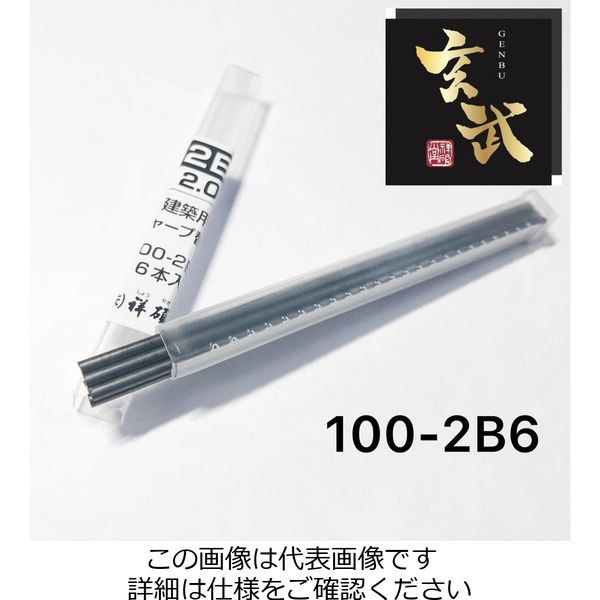 祥碩堂 玄武シャープペンシル2.0mm替え芯 2B 100-2B6 1セット(360本:120本×3セット)（直送品）