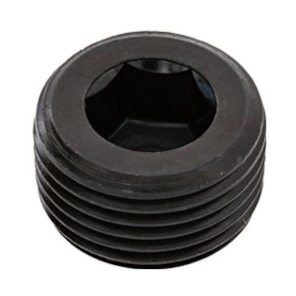 SUNCO プラグ(沈み(TKS PT 1 (2本入) A0-00-571T-8100-0000-00-2 1パック(2本)（直送品）