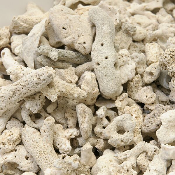 天然サンゴ砂 10kg - レイアウト用品