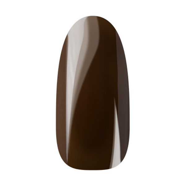 Ann Professional カラージェル 19 チョコレートブラウン 110187 1個（直送品）