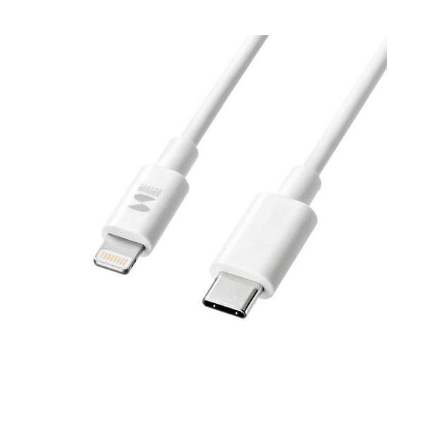 エスコ 1.0m USBケーブル(USB CーLighthing) EA764AJ-55 1セット(2個:1個×2本)（直送品）