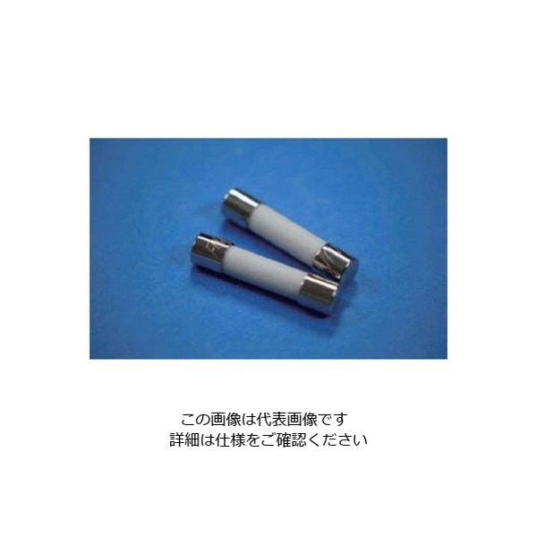 エスコ 250Vx1.0A/φ 6.4mm 管ヒューズ(消弧剤入/2本) EA758ZZ-22A 1セット(10本:2本×5袋)（直送品）