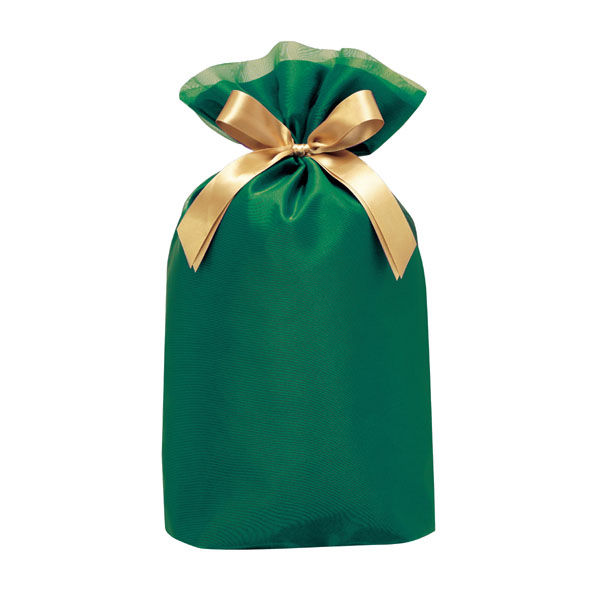 包む ギフトバッグ 巾着 オーガンジー Lサイズ グリーン TD016 1セット（2個）（直送品）