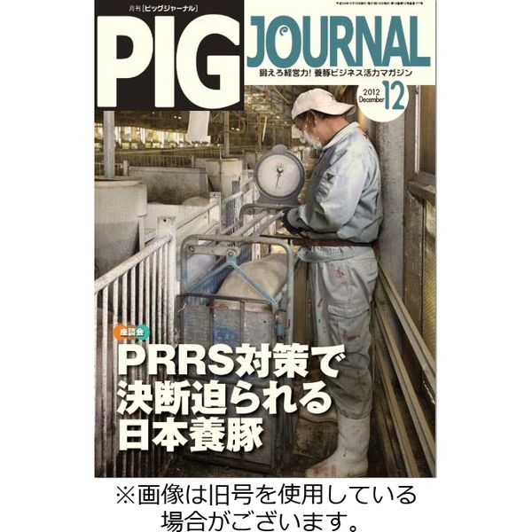 ピッグジャーナル 2023/03/15発売号から1年(12冊)（直送品）