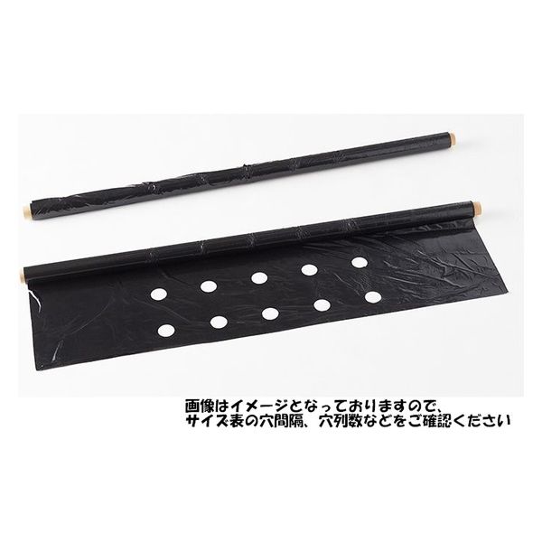 シンセイ 穴あきホールマルチ黒/0.02×95×50 4571191193384 3巻