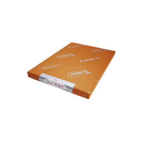 SAKAEテクニカルペーパー シルバーケント紙 Sー180ーB4(規) S-180-B4(キ) 1セット(50枚)（直送品）