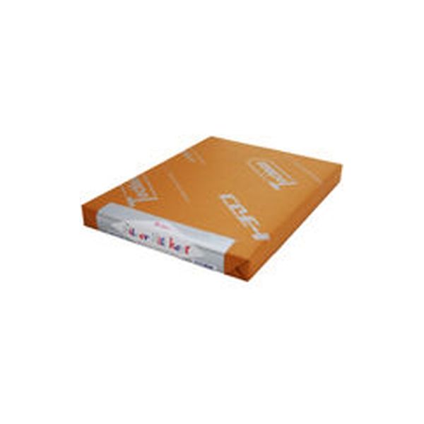 SAKAEテクニカルペーパー シルバーケント紙 Sー180ーB5(規) S-180-B5(キ) 1セット(50枚)（直送品）