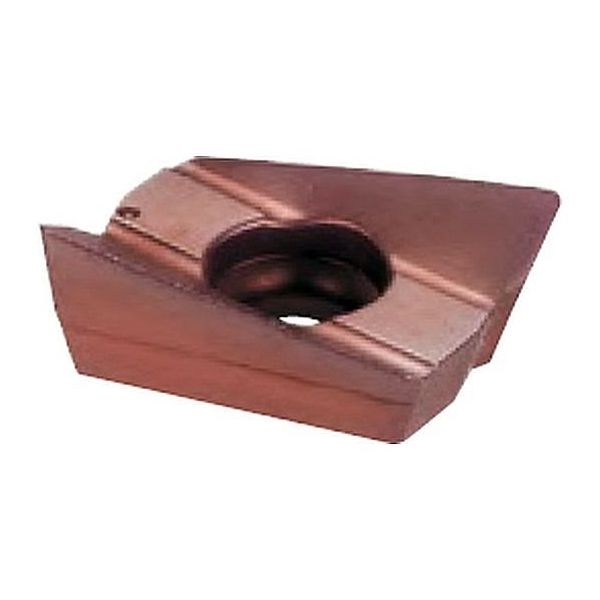 大昭和精機 スローアウェイチップ ARG631104ACP300 1セット(10個)（直送品） 8,783円