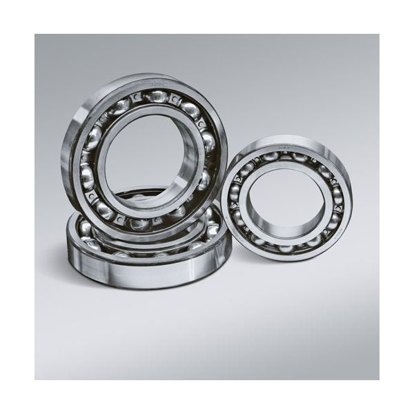 日本精工 NSK 深溝玉軸受 6009ZZ 1個（直送品） - アスクル
