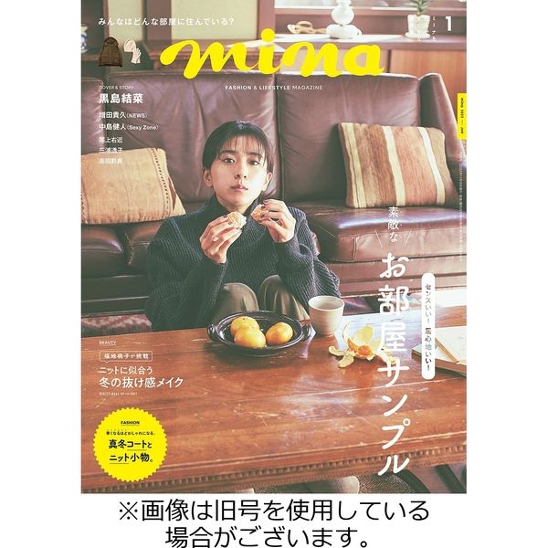 安い mina どんな 雑誌