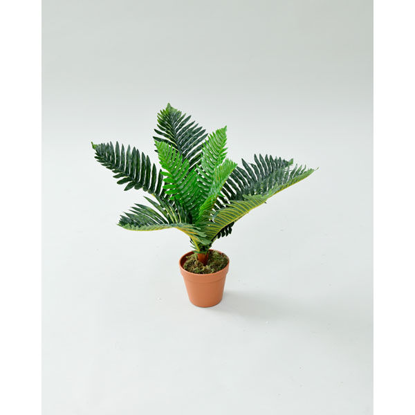 YAMAZEN SIMPLANTS フェイクグリーン FG-ARECA50　一鉢（直送品）