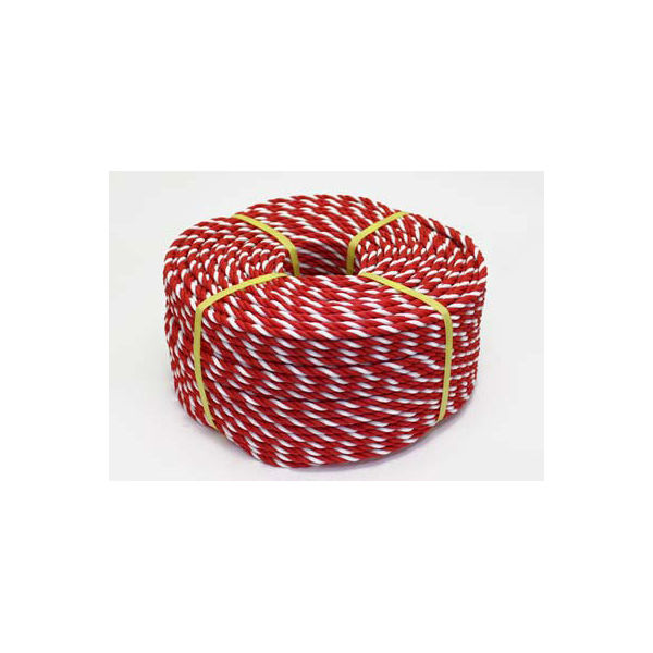 近江屋ロープ ポリエチレンロープ 赤赤白 6mm×200m 6mm×200m赤白白 1巻（直送品）
