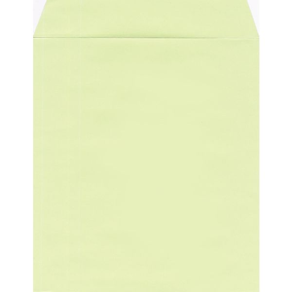 菅公工業 色紙用封筒 ケ217 グリーン 10枚　5パック（直送品）