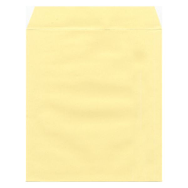 菅公工業 色紙用封筒 ケ218 クリーム 10枚 1セット(5パック)（直送品）