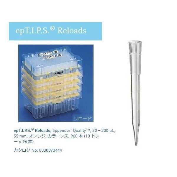 エッペンドルフ ピペットチップ(epTIPS) リロード 20~300μL 96本×10トレー入 0030073452 1箱(960本)（直送品）