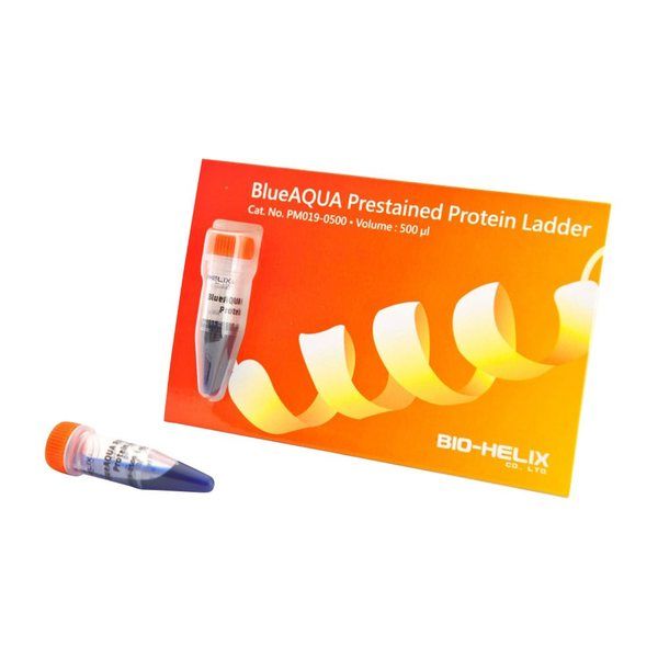 アズワン 着色済みタンパク質ラダーマーカー 10~180kDa 1袋(500μL入) PM019-0500 1袋 4-4328-04（直送品） 14,418円