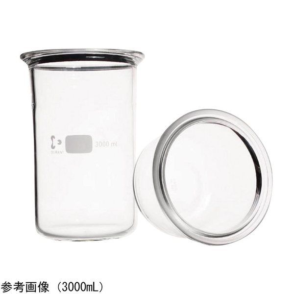 DWK Life Sciences セパラブルフラスコ 皿型平底 3000mL 243916805 1本 4-4442-03（直送品）