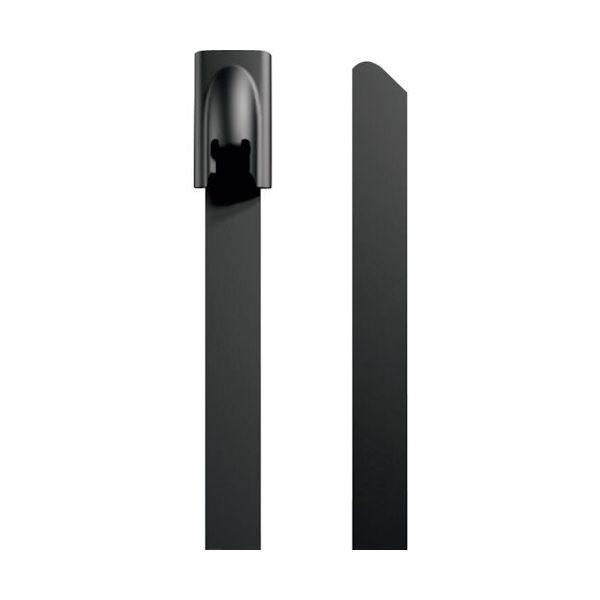 日本ワイドミュラー ワイドミュラー ケーブルタイ ポリエステルコーティングステンレスタイプ 1015220000 1袋(100本)（直送品）