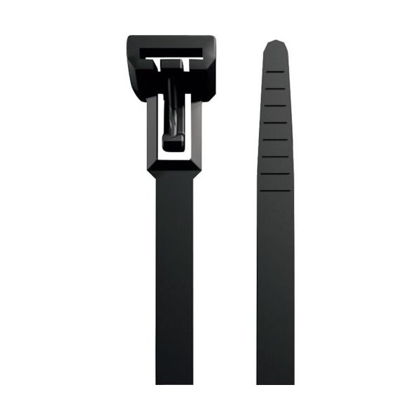 日本ワイドミュラー ワイドミュラー ケーブルタイ リピートタイプ 1059210000 1袋(100本) 365-4431（直送品）