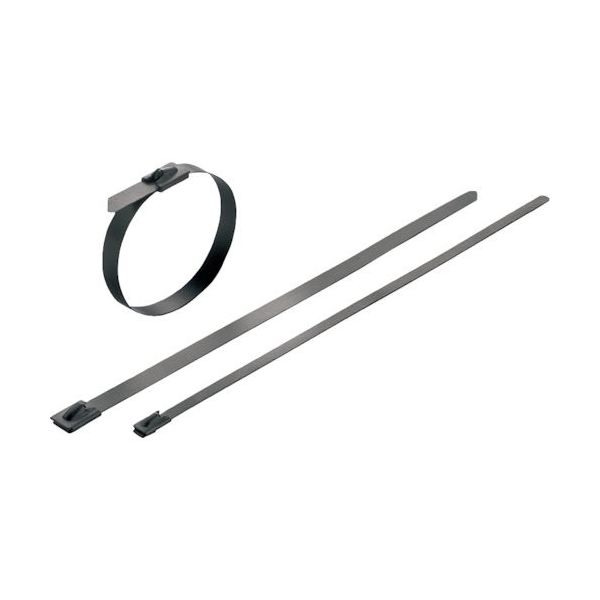 日本ワイドミュラー ワイドミュラー ケーブルタイ ポリエステルコーティングステンレスタイプ 1015240000 1袋(100本)（直送品）