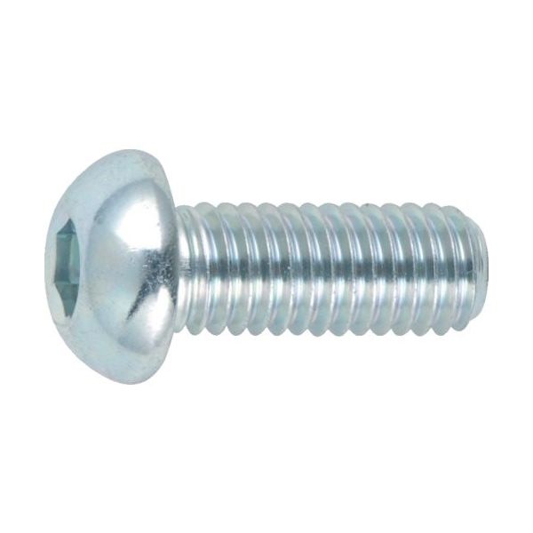 トラスコ中山 TRUSCO 六角穴付ボタンボルト 三価白 M10×30 6個入 B774-1030 1パック(6本) 257-4040（直送品）