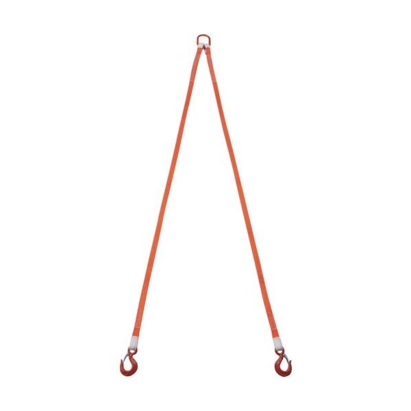 TRUSCO 2本吊ベルトスリングセット 25mm幅X2m 吊り角度60°時荷重0.86t(最大使用荷重1t) G25-2P20 1セット（直送品）