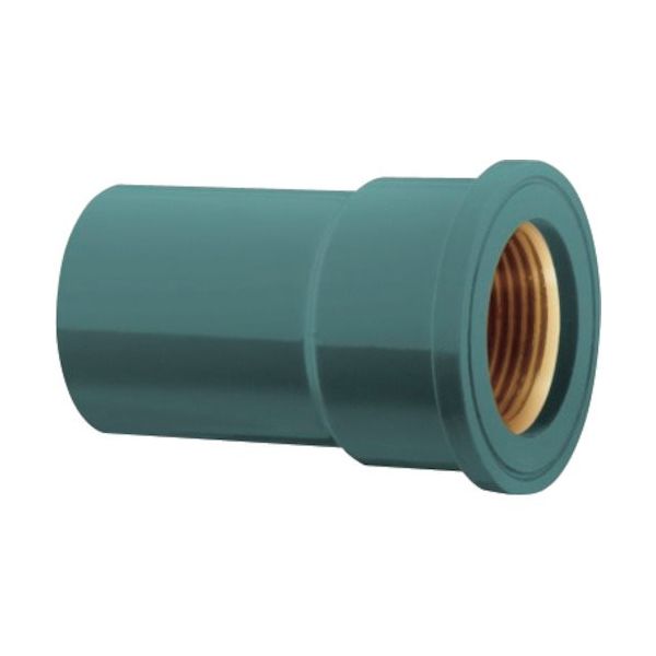 積水化学工業 エスロン TS継手 インサート給水栓ソケット20 Rp1/2 IWS202M 1個 383-0452（直送品）