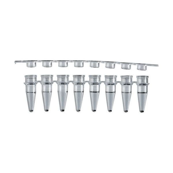 トラスコ中山 TRUSCO PCRチューブ 0.2ml 8連 フラット PCRT-02F8R-125S 1袋(125個) 239-7955（直送品）