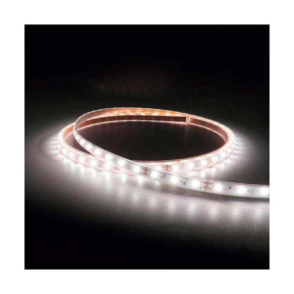 トライト LEDテープライト Viewdi Plus DC24V 16.6mmP 5000K 3m巻 TLVD+502-16.6P-3 1本（直送品）