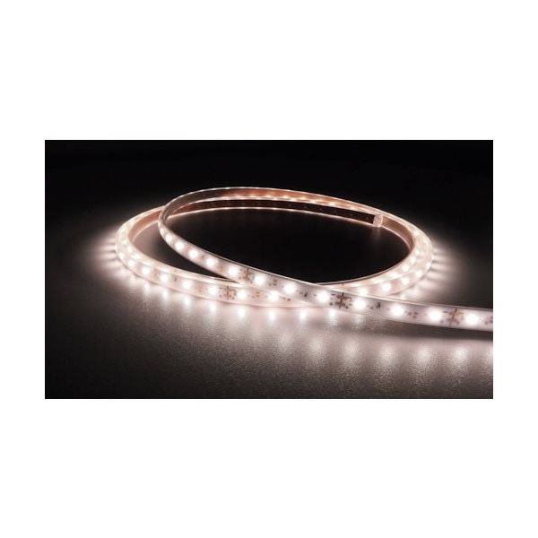 tlight LEDテープライト Viewdi Plus DC24V 16.6mmP 4000K 2m巻 TLVD+402-16.6P-2（直送品）