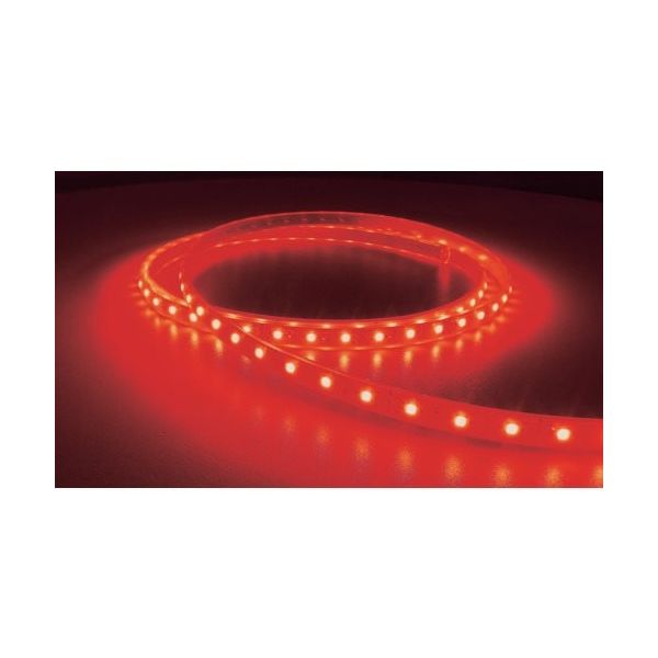 トライト LEDテープライト Viewdi Plus DC24V 16.6mmP 赤色 4m巻 TLVD+R2-16.6P-4 1本 368-8911（直送品）