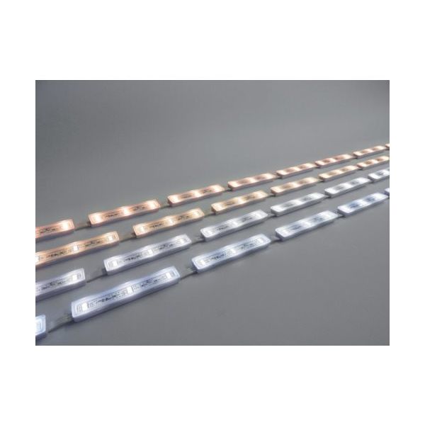 トライト LEDモジュール Viewmo24 3000K L1000 TLVM+302-33P-010-WWC 1本 362-5890（直送品）