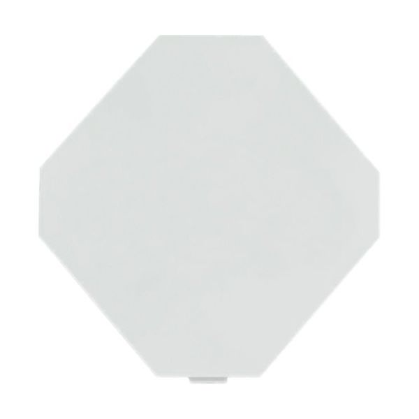 トラスコ中山 TRUSCO 折りたたみメッシュコンテナ用 無地プレート 25L用 TR-MPB-WP25 1枚 267-5188（直送品）