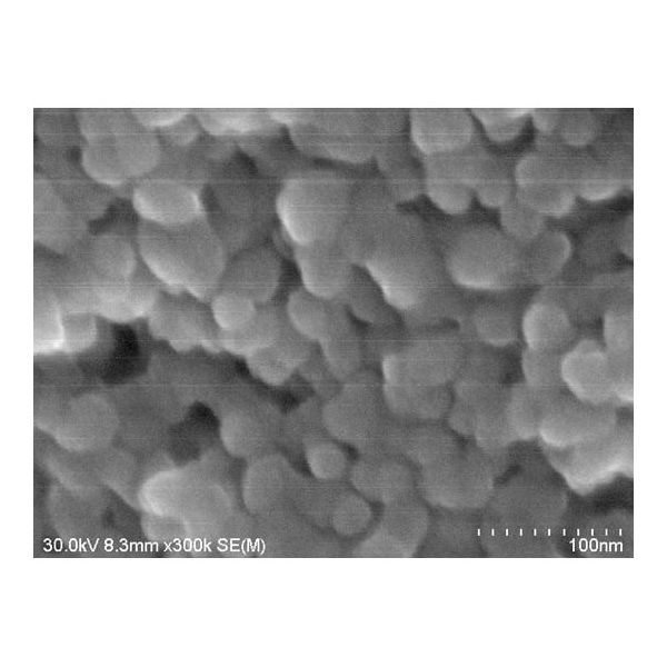 アズワン 酸化錫(II) ナノ粒子 65-0502-98 1個（直送品）