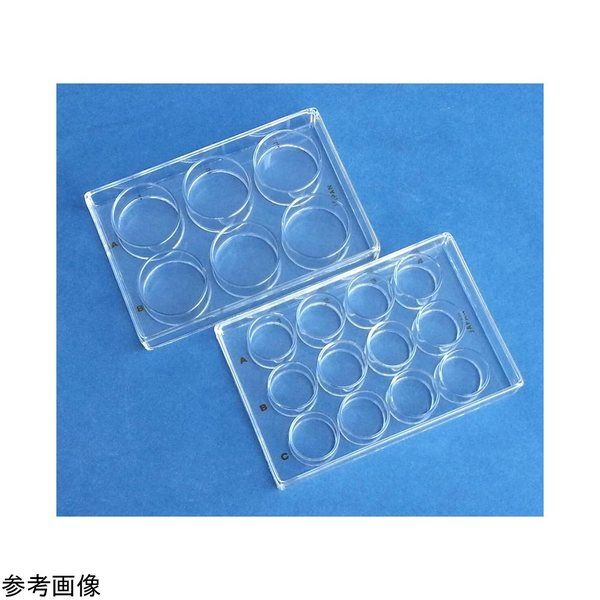 アズワン 硝子マイクロプレート(フタなし)6穴(平底) 4-5167-03 1個（直送品）